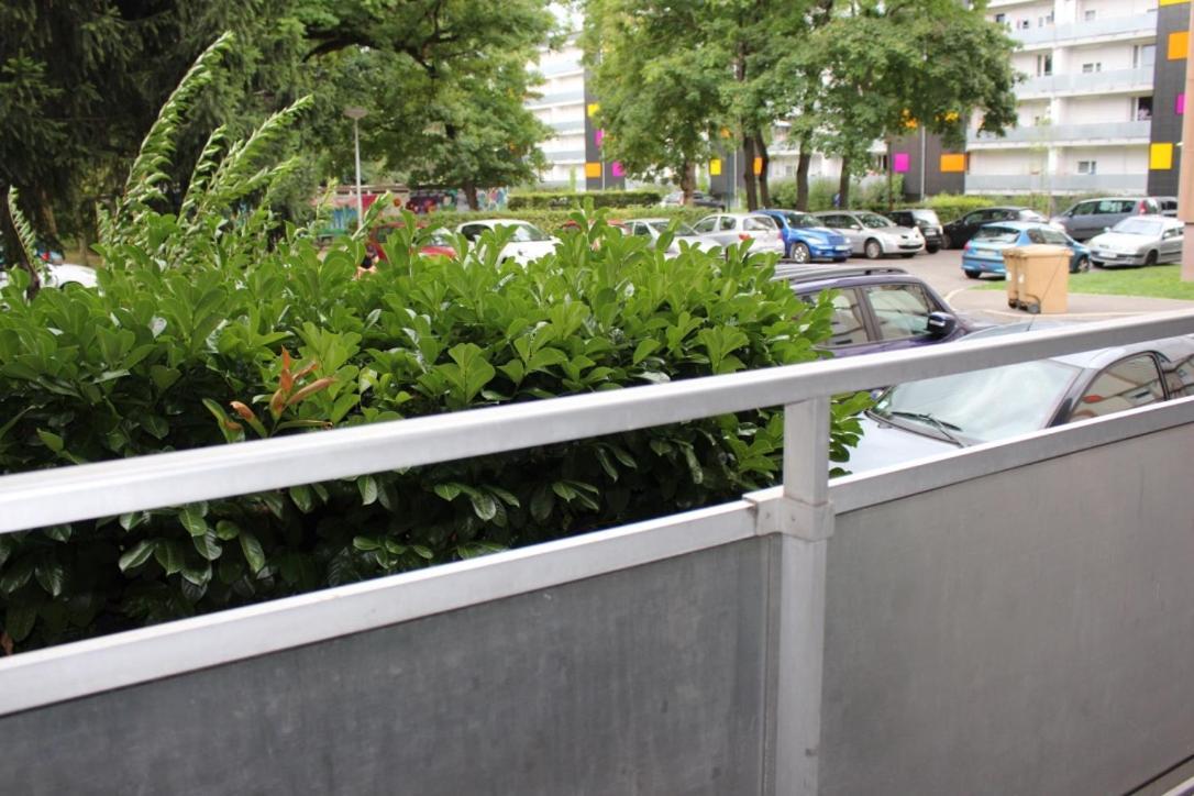 Studios Lora Rm 860 Saint-Louis  Exterior foto